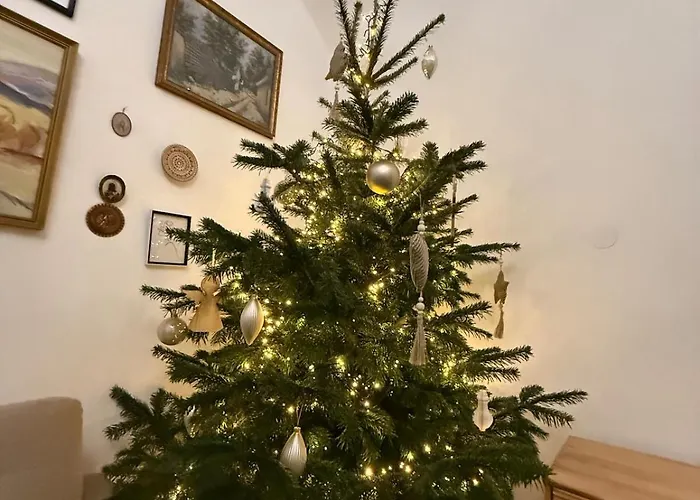 Location In The Centre Of Old Town *